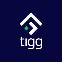 tIGG accounting workshop